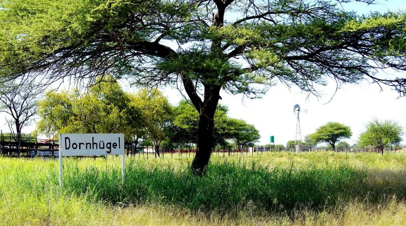 Dornhuegel Guestfarm Hotel Grootfontein Exterior photo