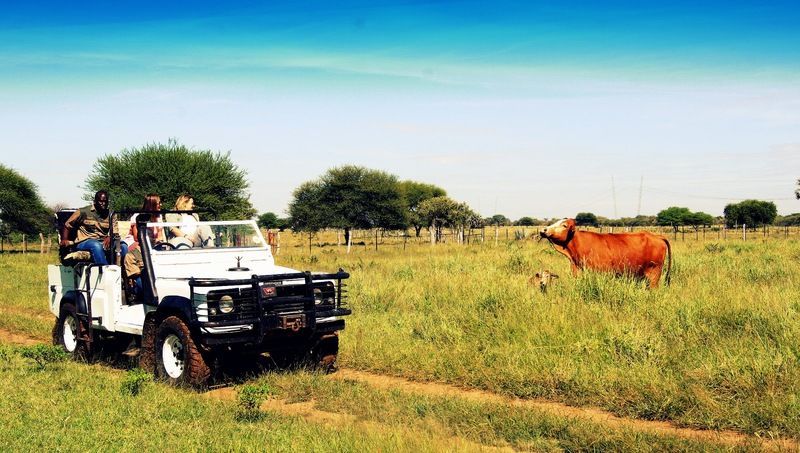 Dornhuegel Guestfarm Hotel Grootfontein Exterior photo